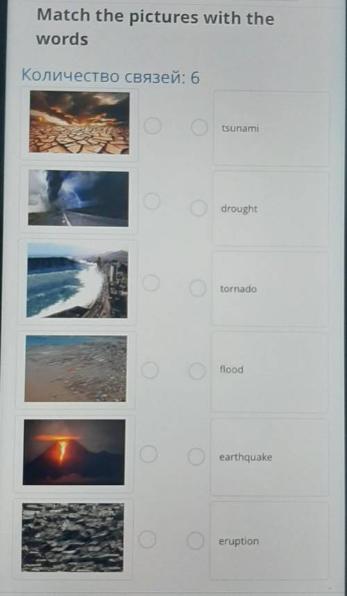 Match the pictures with the words​