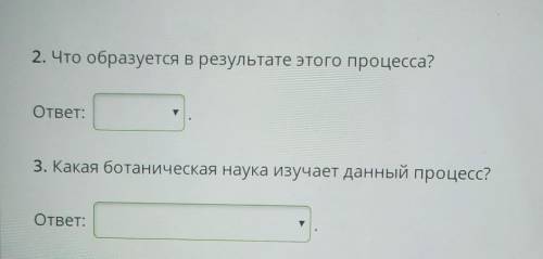 2что образуется в результате этого процесса? цветокПобегсемя3 какая ботаническая наука изучает данны