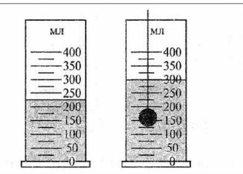 На рисунке изображены два этапа измерения объема тела. Определите цену деления (ц. д.) измерительног