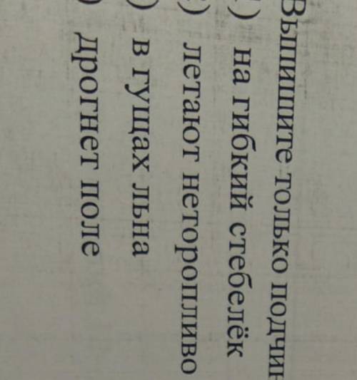 Определите вид связи (примыкание, согласование, управление 30б