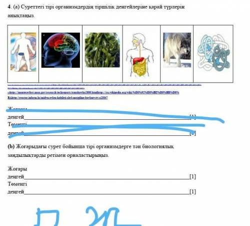 Жогарыдагы сурет боиынша тыры организмге тан биялогиялак зандылыктарды ретымен орналастырынез ​