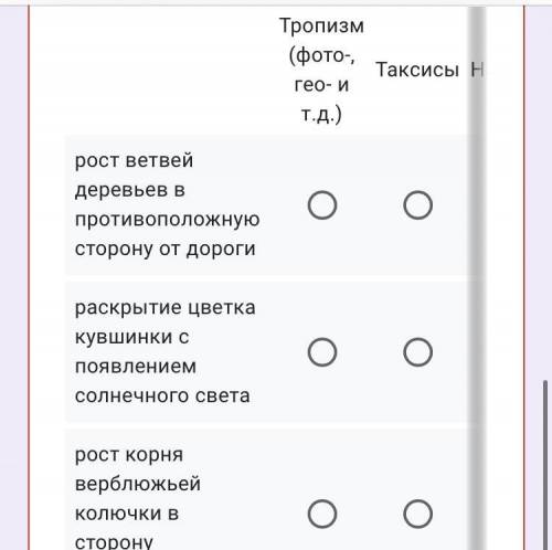 Установите соответствие рост ветвей деревьев в противоположную сторону от дороги раскрытие цветка к