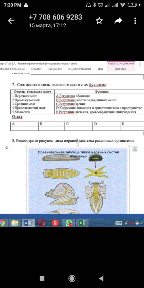 7. Соотнесите отделы головного мозга с их функциями Отделы головного мозга 1 Передний мозг 2 Промежу