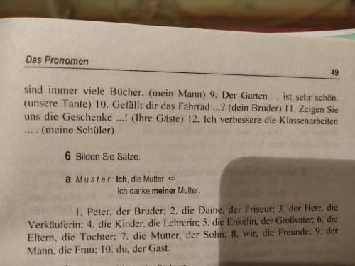 Gebrauchen Sie die in Klammern stehenden Wortgruppen in der richtigen Form.