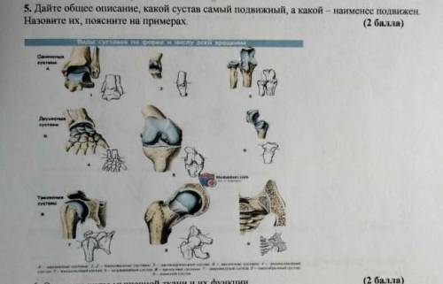 Дайте общее описания СОР ПО БИОЛОГИИ ​