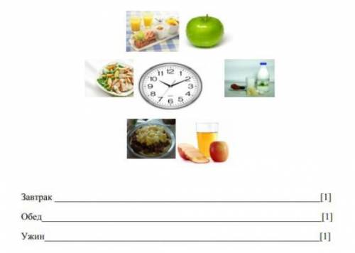 Составьте правильный рацион питания по порядку, используя время.​