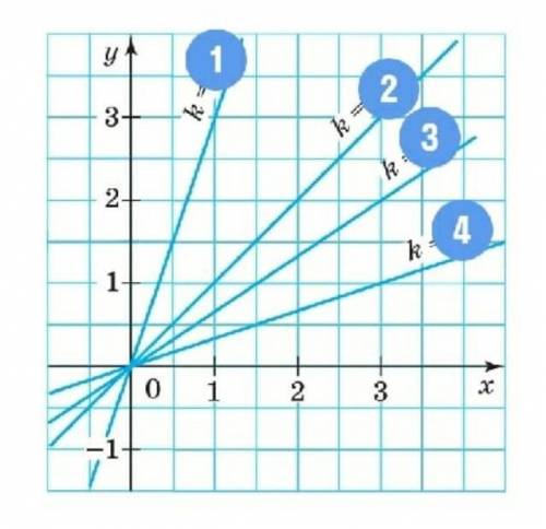 На рисунке изображён пучок прямых y = kx при k, равном 1/3, 2/3, 1 и 3. Определи соответствующий угл