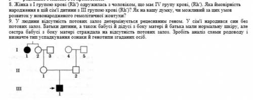 Жінка з 1 групою крові (Rh-) одружилася з чоловіком що має 4 групу крові (Ph-) Яка ймовірність народ