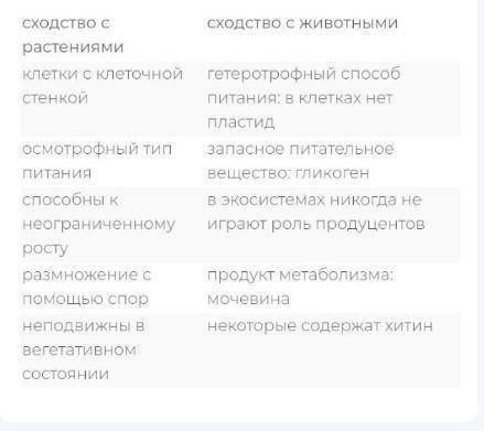 Кому нужно и лучший ответ ? Природоведение . Напишите конспект по теме ГРИБЫ . . Мне очень нужна .