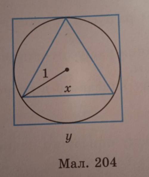 Користуючись малюнкам 204, знайдіть невідомі сторони х і у правильних многокутників​