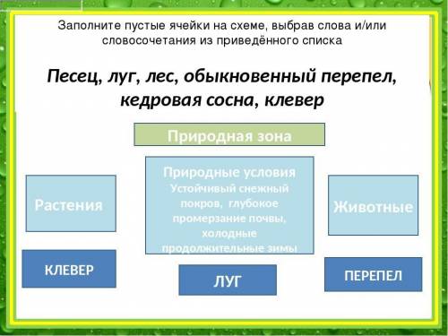 Заполните пустые ячейки на схеме, выбрав слова и/или словосочетания из приведённого списка:Песец,луг