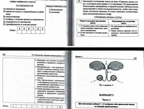 Расположите текст про ухо в правильном порядке