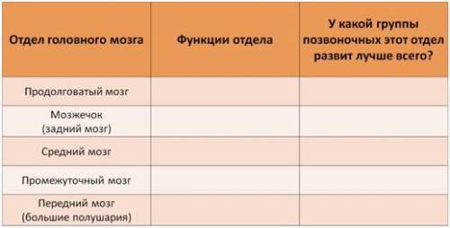 Задание 1. Внимательно рассмотрите изображение головного мозга различных групп позвоночных животных.