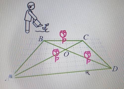 В парке при музее решили разбить клумбу в форме четырёхугольника. Две стороны этой клумбы (AD и BC),