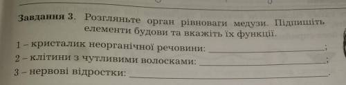 Завдання 3. Розгляньте орган рівноваги медузи. Підпишіть елементи будови та вкажіть їх функції.1 - к