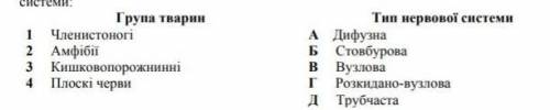 Тип нервової системи амфібій і плоских червів ​