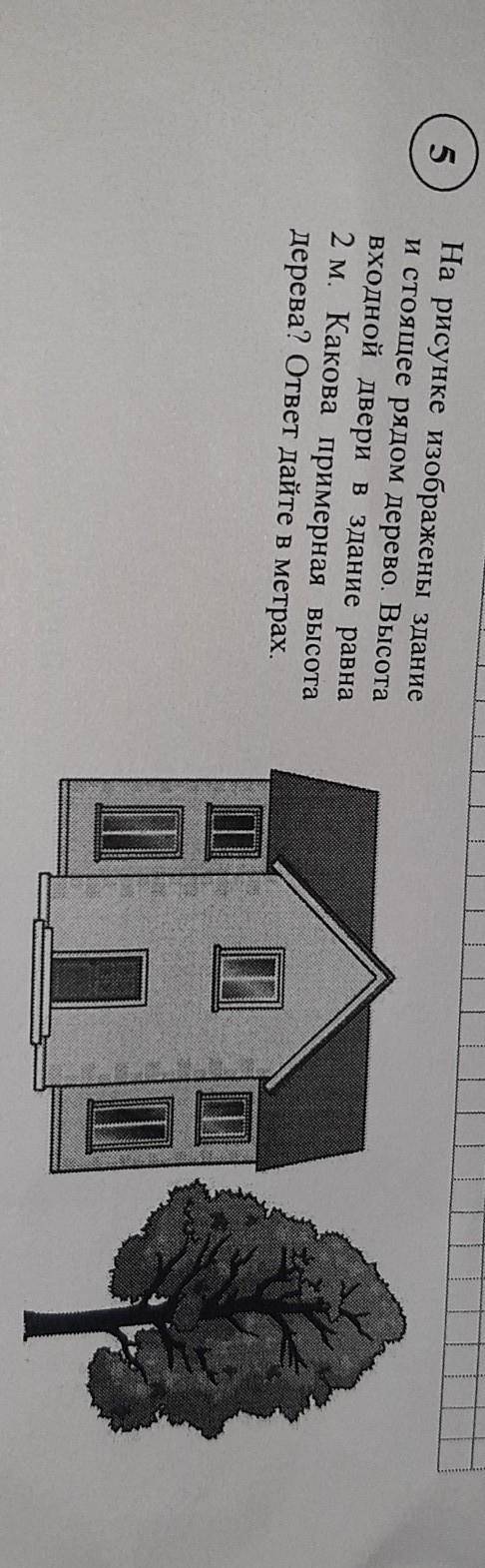 На рисунке изображены здание и стоящее рядом дерево. Высотавходной двери в здание равна2 м. Какова п
