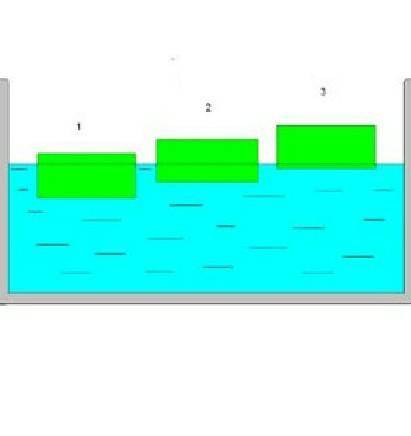 На поверхности воды плавают бруски из дерева, пробки и льда. Укажите, какой брусок из пробки, т.е. п