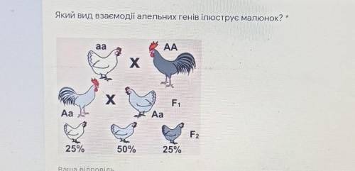 Який вид взаємодії алельних генів ілюструє малюнок? * ааААХF1th -АаАаF225%50%25%​