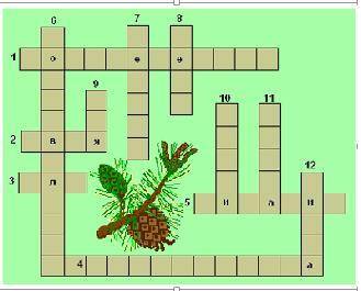 Разгадай кроссворд «Хвойные» 1. Хвойные. 2. Узкие игольчатые листья большинства хвойных деревьев. 3.
