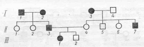На рисунке изображена родословная семьи, в которой случается сплющенная форма ушной раковины. Опреде