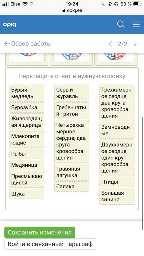 Определи тип кровообращения и перетащи к каждому типу соответствующий признак. Распредели названия ж