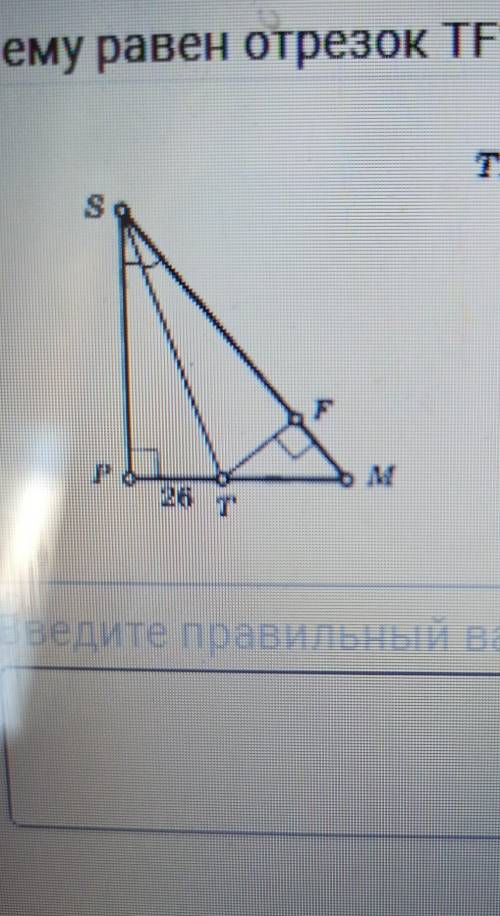 Чему равен отрезок tf? ​