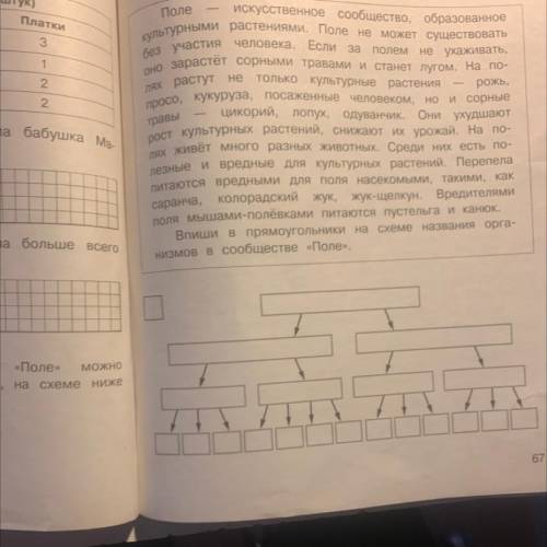 искусственное сообщество, образованное культурными растениями, Поле не может существовать без участи