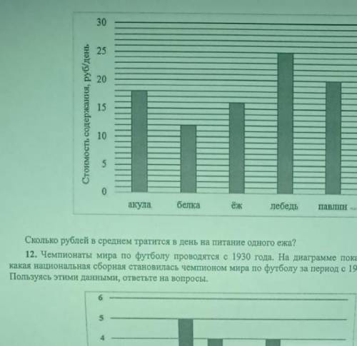 Директор зоопарка рассказал, сколько рублей в день в среднем тратится на питание (содержание) различ