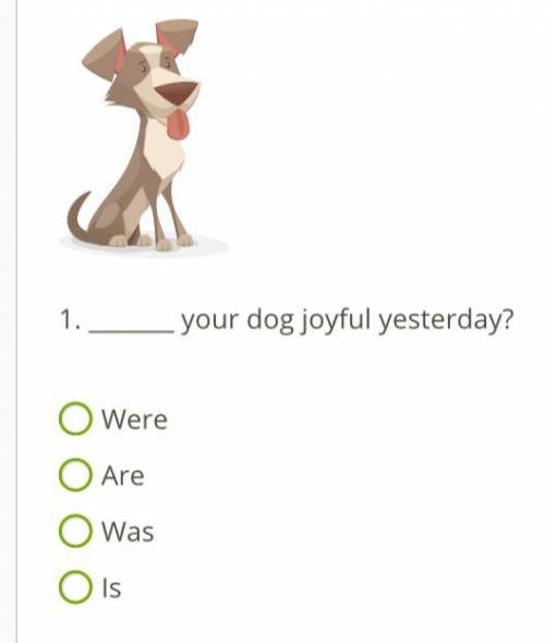 . your dog joyful yesterday?