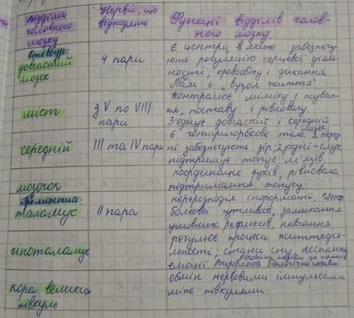 Встановіть відповідність між відділами головного мозку та їх функціями​