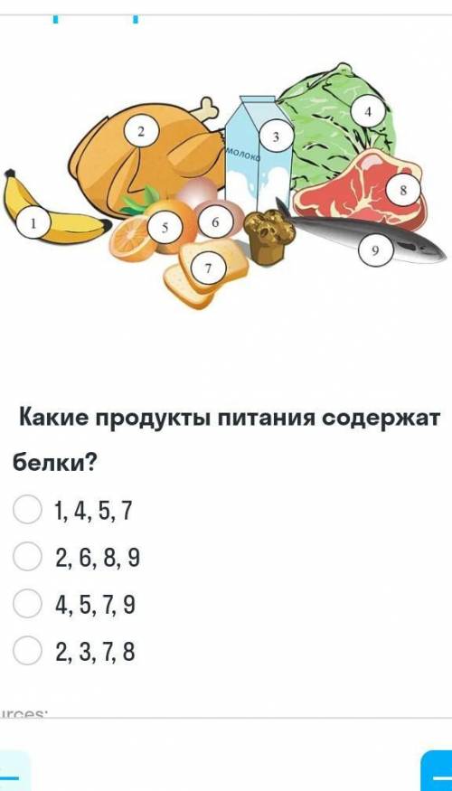 Какие продукты питания содержат белки? ​