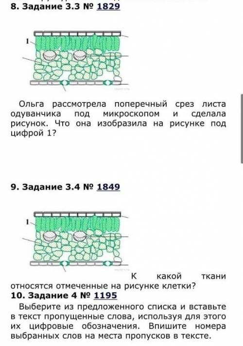 Решите впр по биологии .​