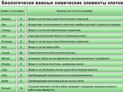 Где и какое участие принимает элемент в наших органах и в нашем организме?