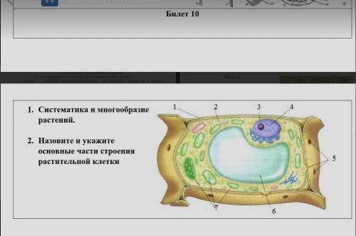 Билеты по биологии за 6 класс (ответы) ​