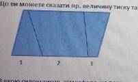 Що ви можете сказати пр. величину тиску та силу тиску на дно посудини в усіх відсіках ​