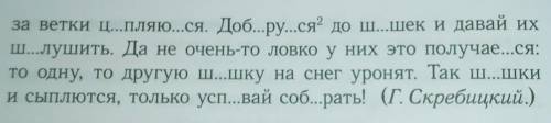 Упражнение 415. Подчеркните имена существительные какЧлены предложения, в скобках укажите число.​