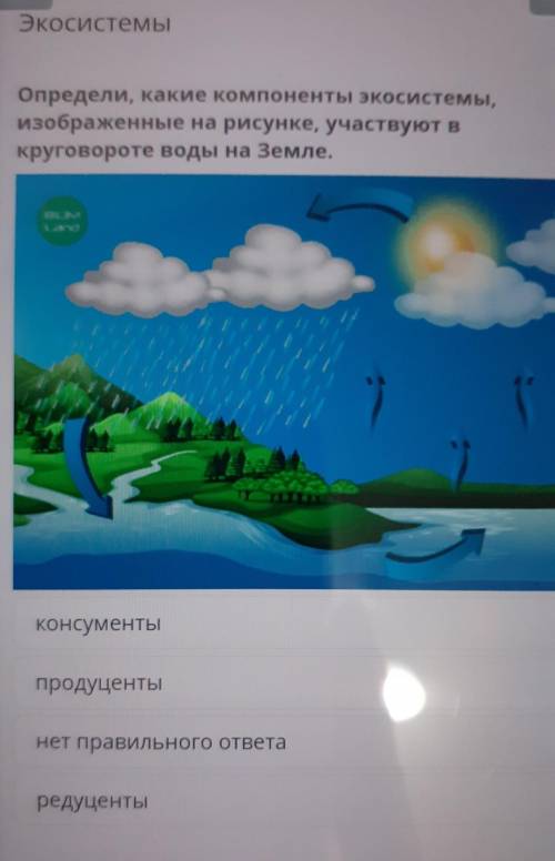 Экосистемы Определи, какие компоненты экосистемы,изображенные на рисунке, участвуют вкруговороте вод