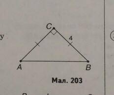 За малюнком 203(малюнок на фото)знайдіть площу прямокутного трикутника.