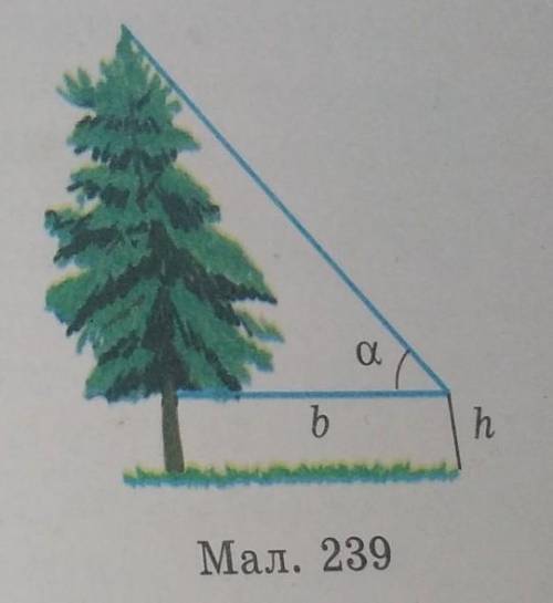 Знайдіть висоту дерева (малюнок вище), якщо b=10 м, h=2 м, α=70°. До іть, будь-ласка, буду дуже вдяч