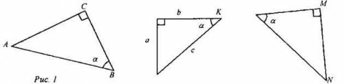 Тема синусы, косинусы, тангенсы, котангенс! 1. Записать sin α, cos α, tg α для данных треугольников.