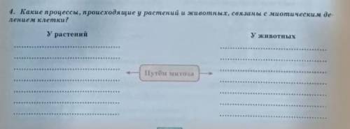 Какие процессы, происходящие у растений и животных, связаны с миотическим делением клетки?