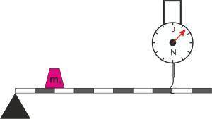 Определи показание динамометра, если рычаг находится в равновесии, а масса противовеса равна m1=10кг