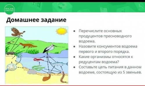 Домашнее задание КА• Перечислите основныхпродуцентов пресноводногоВодоема.Назовите консументов водое