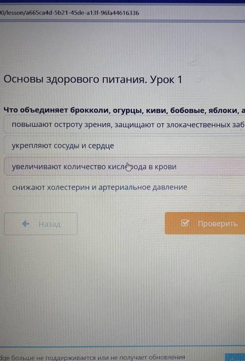 Основы здорового питания. Урок 1 Что объединяет брокколи, огурцы, киви, бобовые, яблоки, авокадо, ви