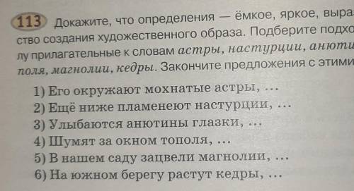 113 Докажите, что определения — ёмкое, яркое, выразительное сред ство создания художественного образ