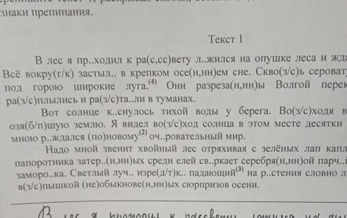 сейчас впр​ нужно вставить знаки препинания буквы пропущеные