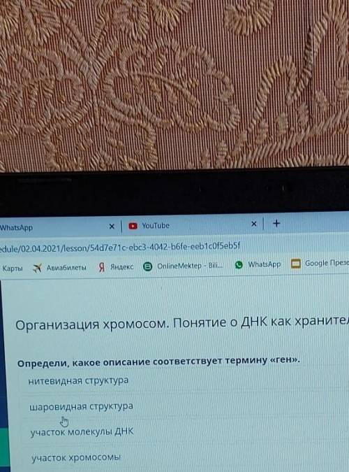 Определи, какое описание соответствует термину «ген». участок Молекулы ДНКучасток хромосомышаровидна