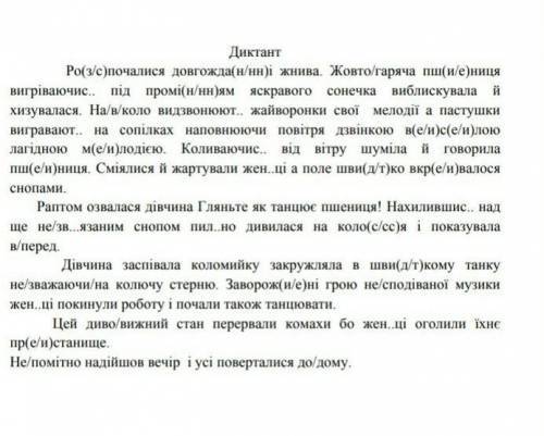 Росс)почалися довгождан/нні жнива Жовтогаряча шиениця вигріваючис. па промінням яскравого сонечка ви