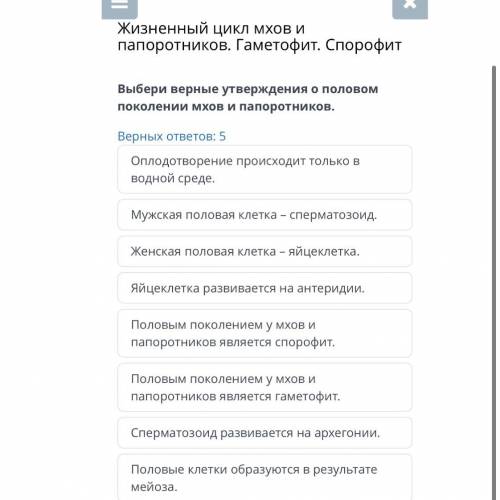 Жизненный цикл мхов и папоротников. Гаметофит. Спорофит Выбери верные утверждения о половом поколени